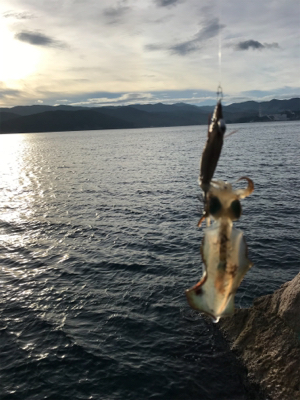 今年は遅い⁉︎