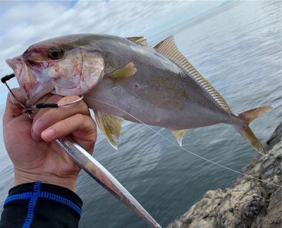 ヤズとかネリゴとか