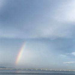 ライトショアジギングでツバス