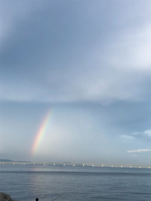 ライトショアジギングでツバス