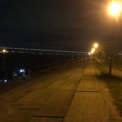 祭りはどこへ…劇渋ハマチ♪