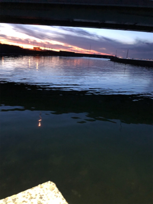 暇つぶしにアジング