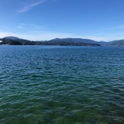 爆釣期待しましたが、、、