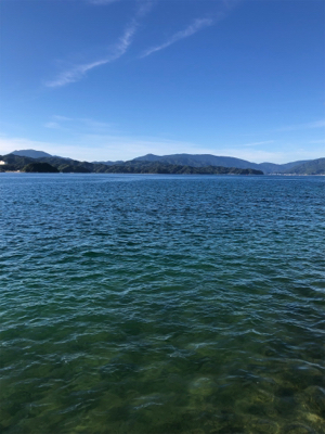 爆釣期待しましたが、、、