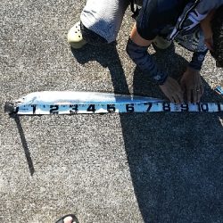 初めてのミニ堤防