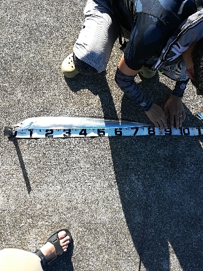 初めてのミニ堤防