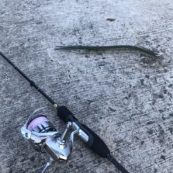 久々ライトゲーム