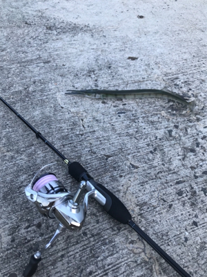 久々ライトゲーム