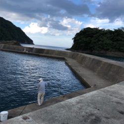 シンコ調査第二弾