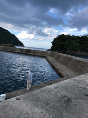 シンコ調査第二弾