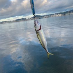 あれ、、?終了?