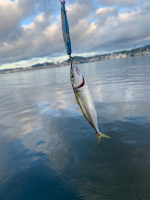 あれ、、?終了?