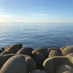 新しいメタルジグで