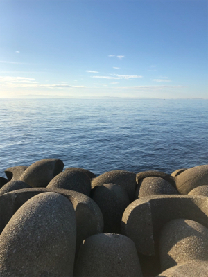 新しいメタルジグで