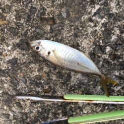 あかん日もある