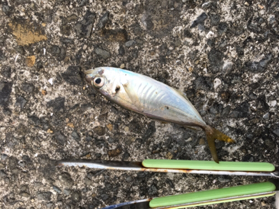 あかん日もある