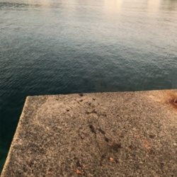 イカが釣りたくなって！