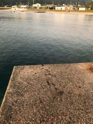 イカが釣りたくなって！