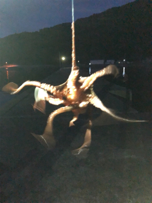 ガシリングにタコ！！！！