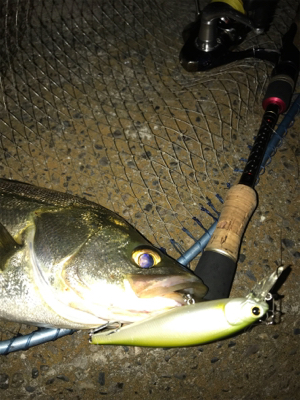 昨日も南港行ってきました！