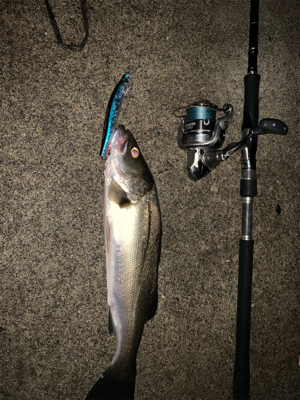 AbuGarcia ワンカレント