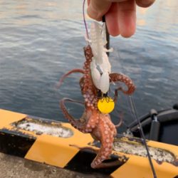 久しぶりの朝練