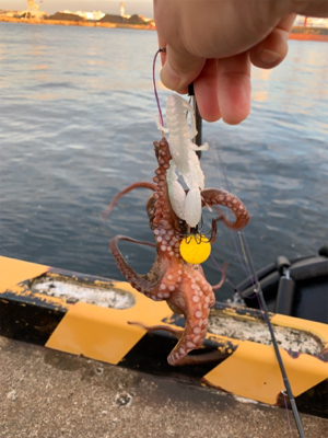 久しぶりの朝練