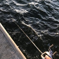 初のオクトパッシング