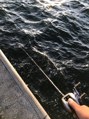 初のオクトパッシング