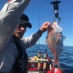 マイボートでアマダイ狙い