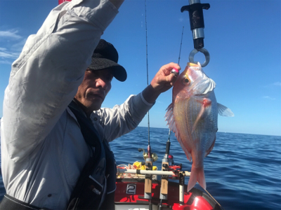 マイボートでアマダイ狙い