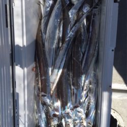 初タチウオジギング