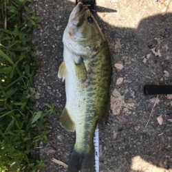 暑い中での釣り