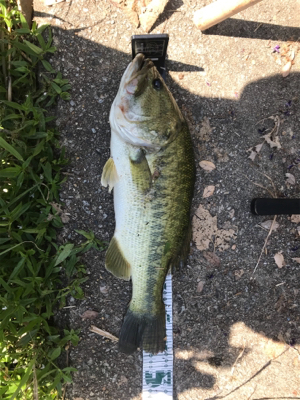 暑い中での釣り