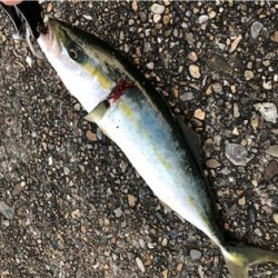 朝練ツバッシング