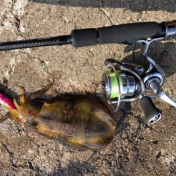 スクスク育ってますねぇ♡