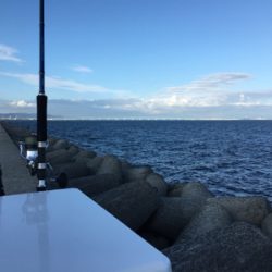 ビッグバッカー鰆カスタム