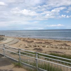 昼からの釣行です