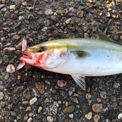 高砂の朝は熱い!