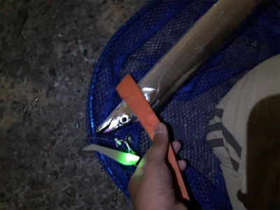 念願のタチウオ！