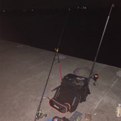 夜のアナゴ釣り