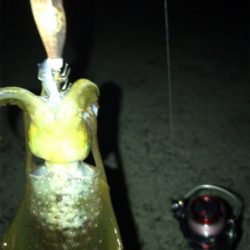 プチ地合いは突然に*\(^o^)/*