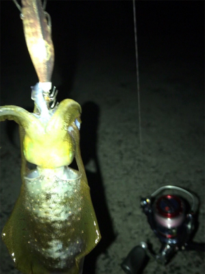 プチ地合いは突然に*\(^o^)/*