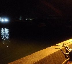 開始早々セイゴ