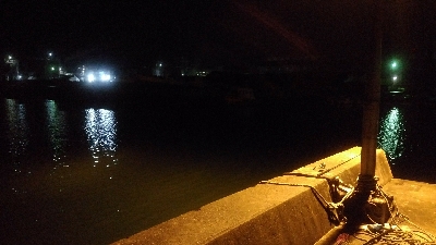 開始早々セイゴ