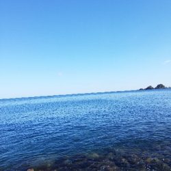 今年初のエギング