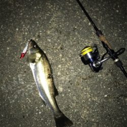 秋めいてきましたね！