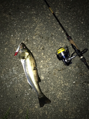 秋めいてきましたね！