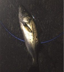 会社の駐車場で…