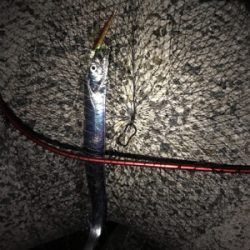 淡路島遠征 タチウオ